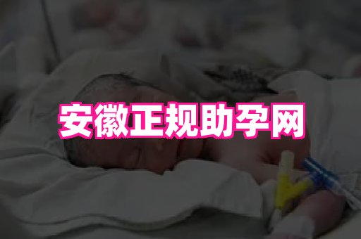 gfg孕网 1