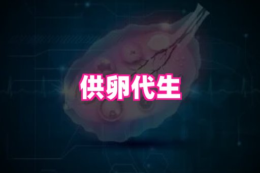 gfg孕网 2