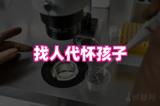 gfg孕网 4